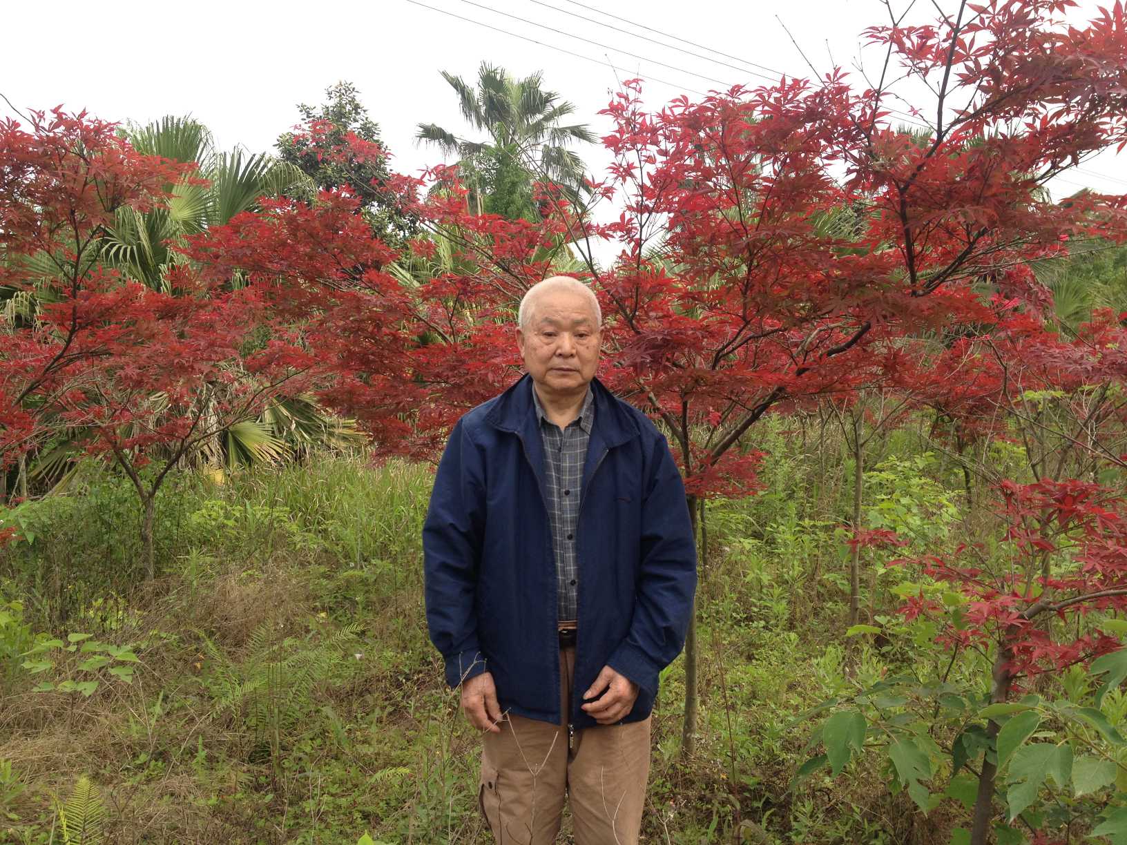 李明开纪念馆 李明开纪念馆