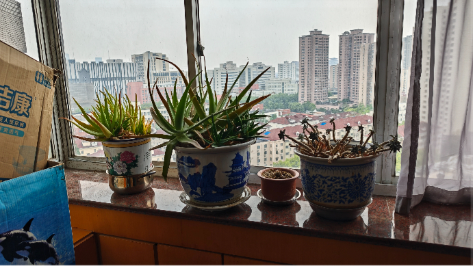 家在 仿佛爸妈还在