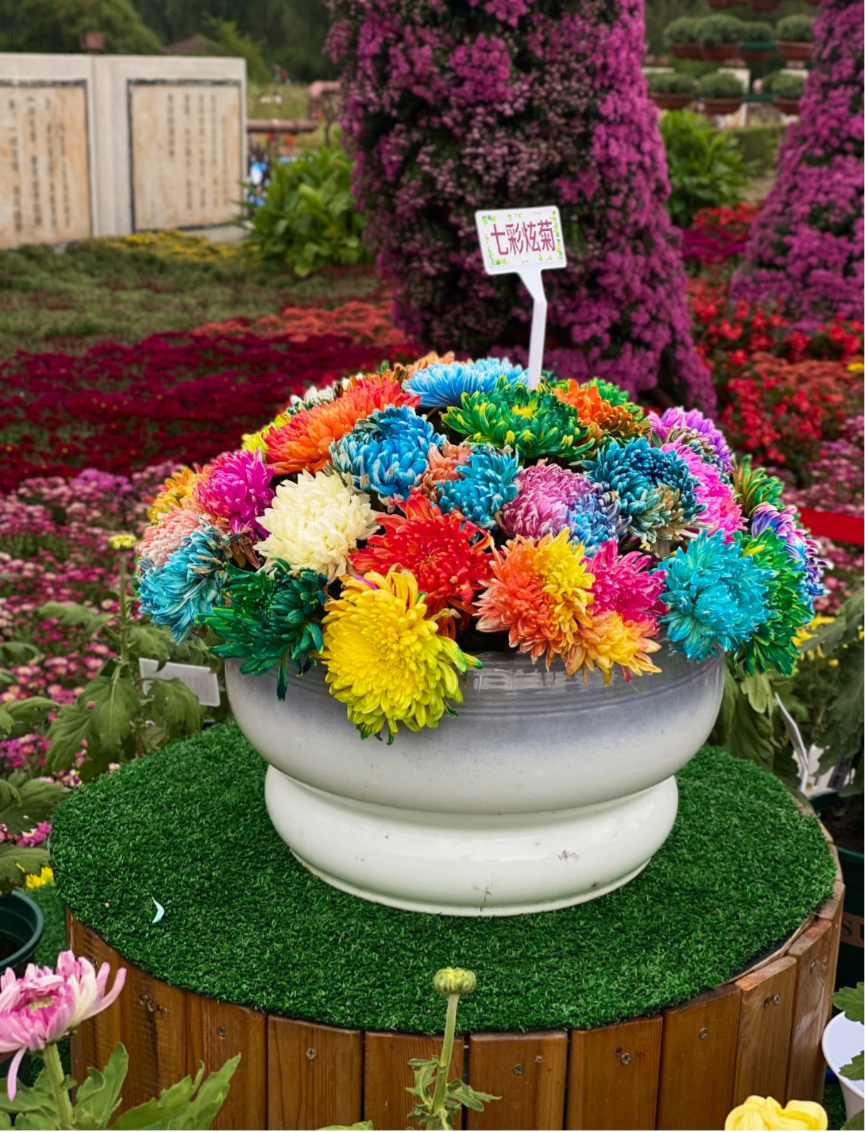 王书君纪念馆-思念